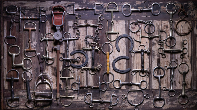 top down photo of horse equipment, bits & shoes on a wooden table. 