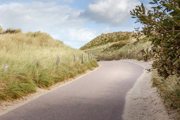 Ein Weg durch die Dünen