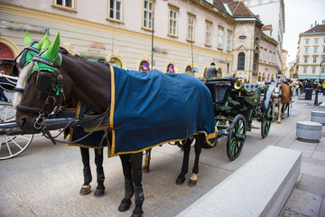 Fototapeta na wymiar horse carriage in roman streets