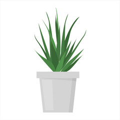 Green plant in the pot vector isolated. Gardening hobby