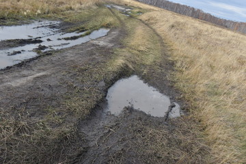 Autumn. Heart shaped puddle