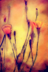 grunge watercolor abstract painting with flowers 