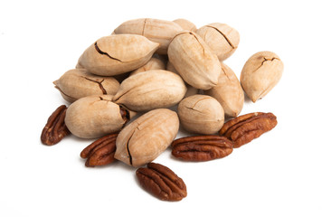 pecans isolated