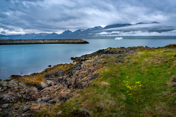 The cruise ship enters the Icelandic port in the fjord