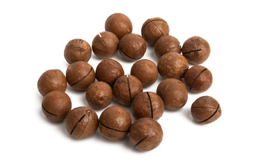 macadamia nuts isolated