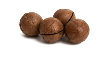 macadamia nuts isolated