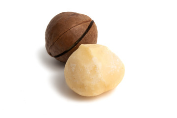 macadamia nuts isolated