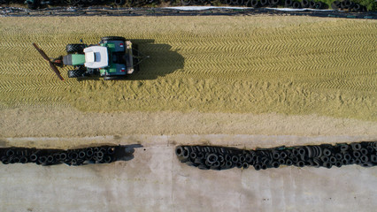 Maisernte, Landwirtschaftliche Tätigkeit zur Ernte Saison