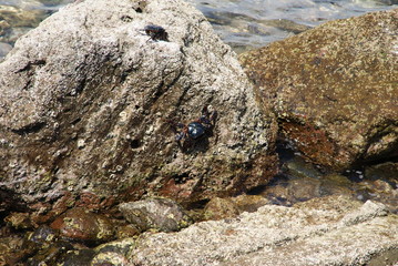 on uninhabited islands near mexico
