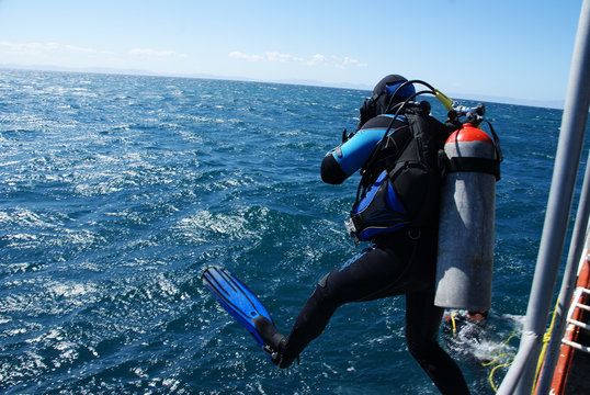 diving and snocking in the mexican sea