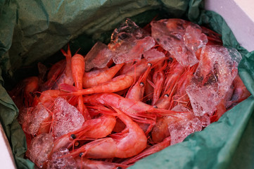 新潟県では南蛮海老と呼ばれる真っ赤な甘エビ