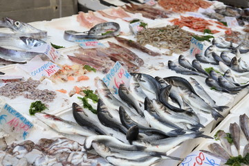 イタリア・ナポリの市場にずらりと並ぶ新鮮な地中海の魚介