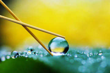 drop of water on a leaf