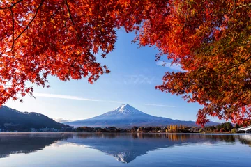 Papier Peint photo Mont Fuji Mont Fuji en automne avec des feuilles d& 39 érable colorées au lac Kawaguchi, Yamanashi, Japon. Le mont Fuji, Fujisan situé sur l& 39 île de Honshu, est la plus haute montagne du Japon.