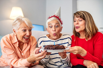 Group of seniors celebrating a birthday in the retirement house. Seniors on birthday at home....