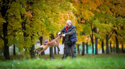 Senior man plays with a dog in the autumn park