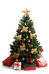 Fototapeta na wymiar Christmas Tree isolated