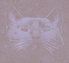 Abstract cat portrait illustration