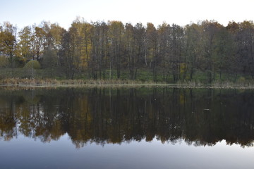 lake autumn in the park