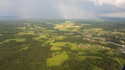 Fototapeta premium Pine forests from a bird's eye view.