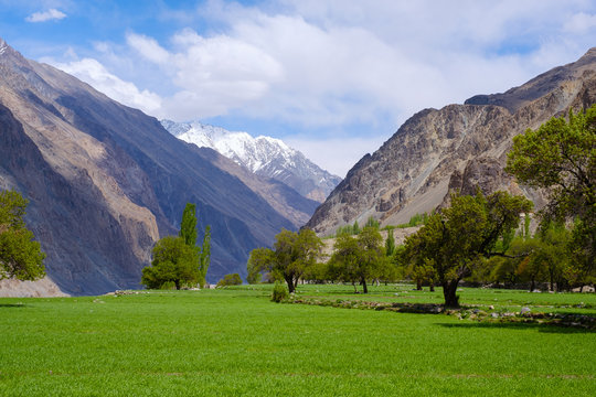 View of Turtuk village in Leh, Ladakh, Jammu and Kashmir, India