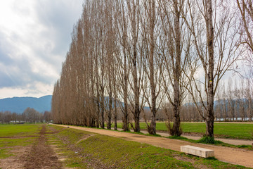 Banyoles Lake
