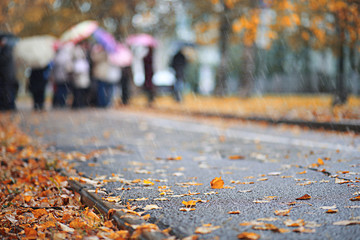 Autumn rain in the park