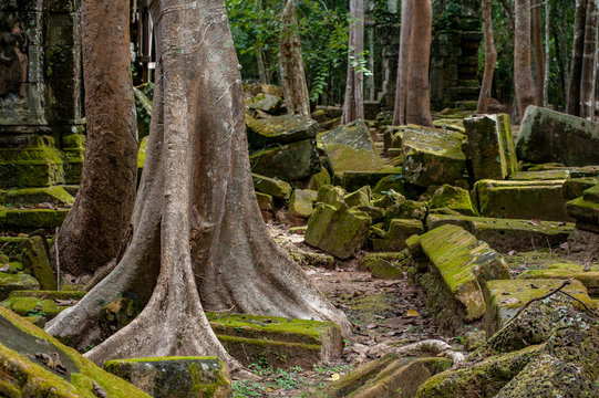 Lost in the forest the small Ta Nei temple attract a few visitors, Siem Reap, Cambodia