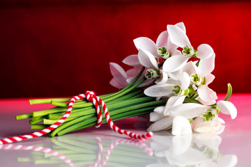 snowdrops, 1st of March tradition white and red cord martisor