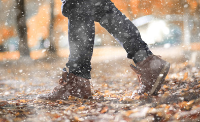 Autumn park in the first snow