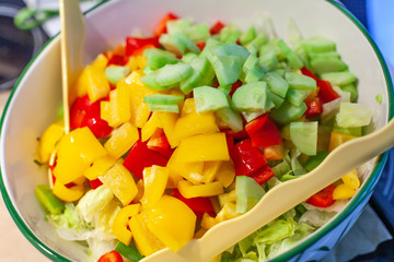 Frischer Salat Paprika Gurke anrichten zusammen mischen in die Schüssel geben Bio vegetarier make Salad