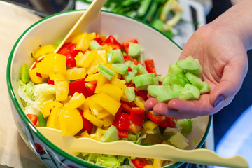 Frischer Salat Paprika Gurke anrichten zusammen mischen in die Schüssel geben Bio vegetarier