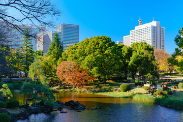 都心の秋のイメージ 風景 都市風景 日本 東京 日比谷 丸の内 秋 冬 青空 公園 水辺 