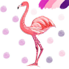 Pink flamingo digital illustration with colorful palette. Bright exotic american, european, asian wild bird