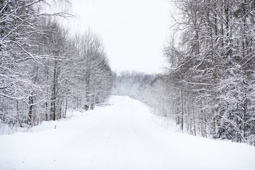 Obraz premium Landscape in the winter cloudy day