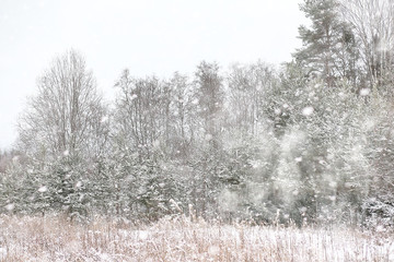Winter landscape of country fields and roads