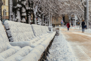 Benches covered with snow in the alley