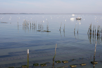 oyster farm basin Arcachon bay in France le Canon beach