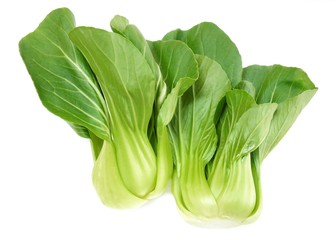 Fresh Green Bok Choy on White Background
