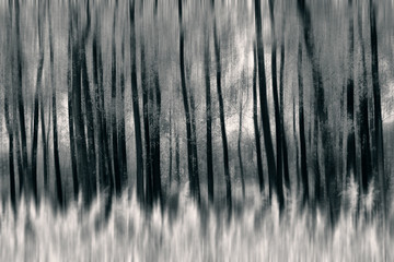 Abstract digital painting of black and white trees 