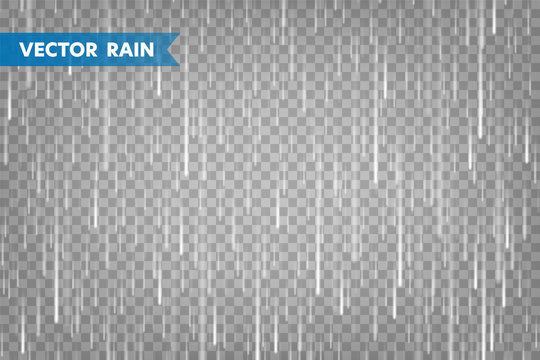 Realistic rain texture on transparent background. Rainfall, water drops effect. Autumn wet rainy day. Vector illustration.