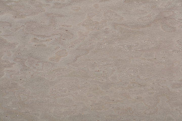 Fototapeta na wymiar Natural maple veneer background in excellent grey color. High quality texture.