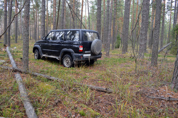 Obraz na płótnie Canvas black jeep SUV driving on abandoned sand road in forest