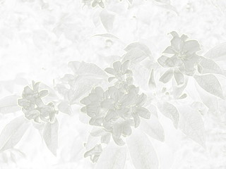 Abstract flower background with white and light grey colors, wax bump effect. Can be used as...