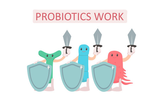 Group of probiotics with shields and swords. Digestion protection concept. Cute characters on a white background. Microscopic bacteria. Vector illustration in freehand drawn style