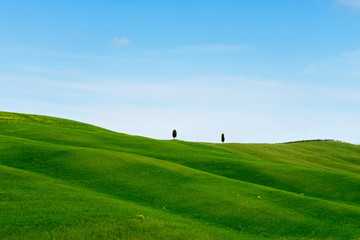 Beautiful spring minimalistic landscape with green hills in Tuscany