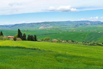 Fototapeta na wymiar Beautiful spring landscape with hills in Tuscany