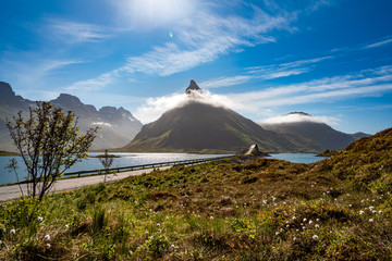 Fototapeta premium Fredvang Bridges Panorama Lofoten islands
