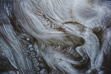 lizard fossil in the mud © Roberto Sorin