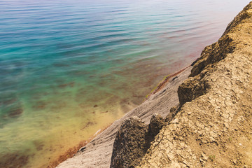Cape chameleon in gloomy weather, Russia.